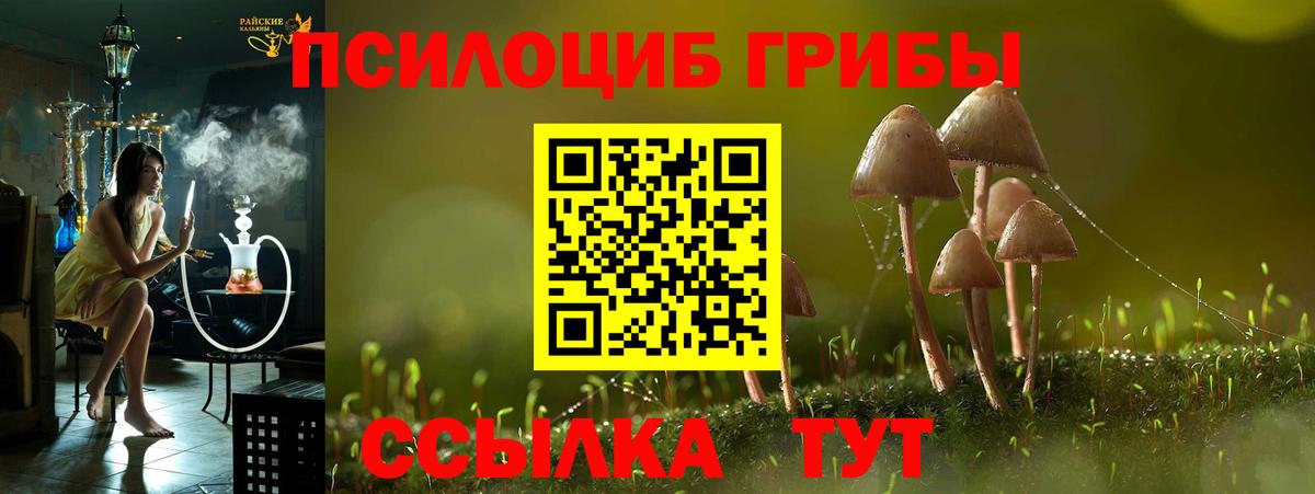 Галлюциногенные грибы мухоморы  Галлюциногенные грибы ЛСД  Сосновоборск  Вход с VPN 